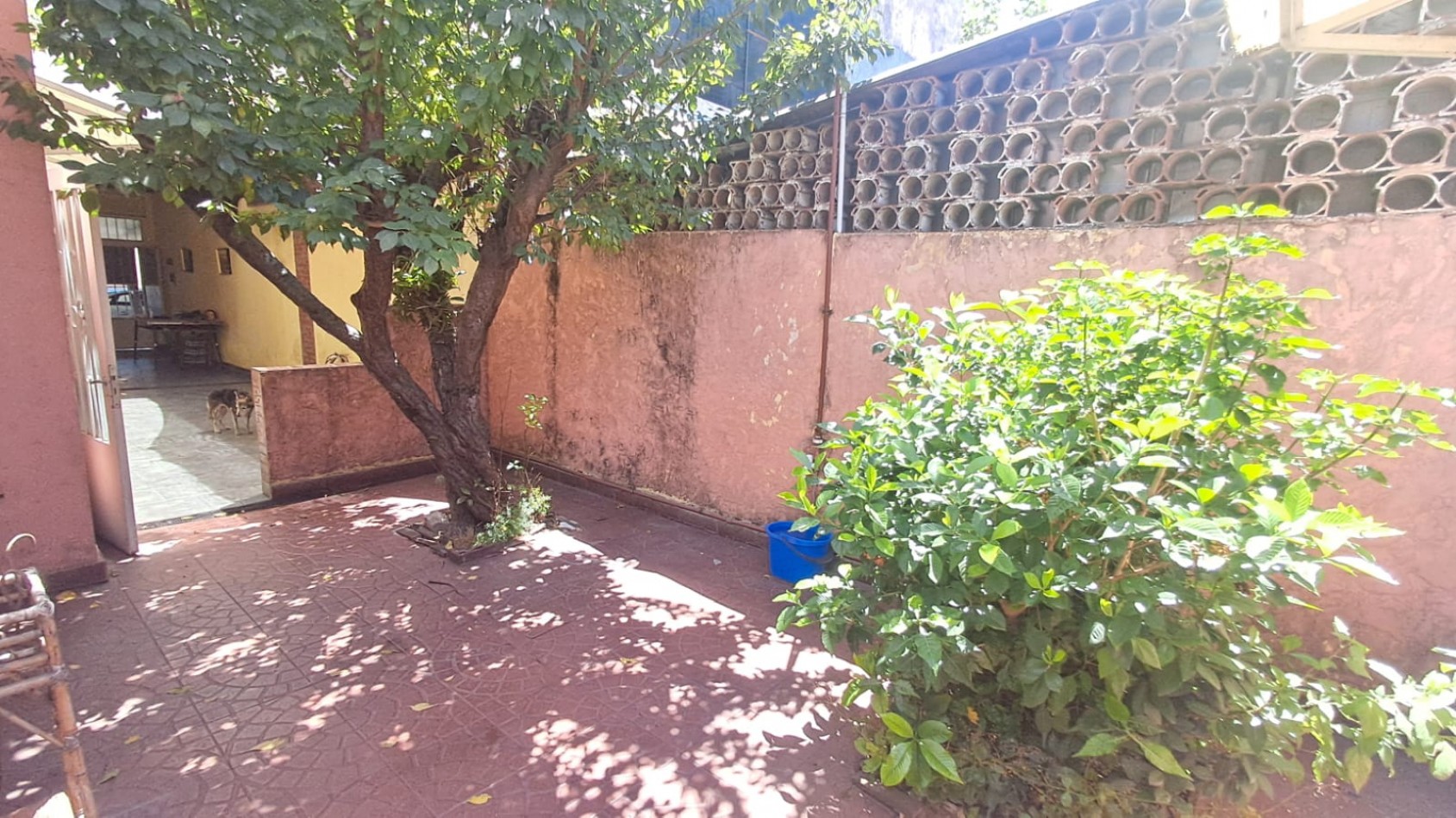 CASA 3 AMB CON LOCAL, GARAGE,PARA VARIOS AUTOS, JARDIN CON PARRILLA, PATIO Y TERRAZA X TODA LA SUPERFICIE REF. 889